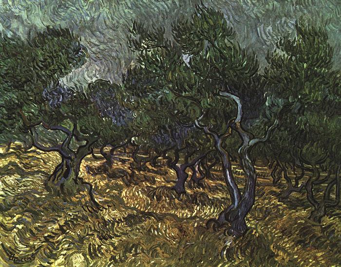 Vincent Van Gogh The Olive Grove oil painting picture